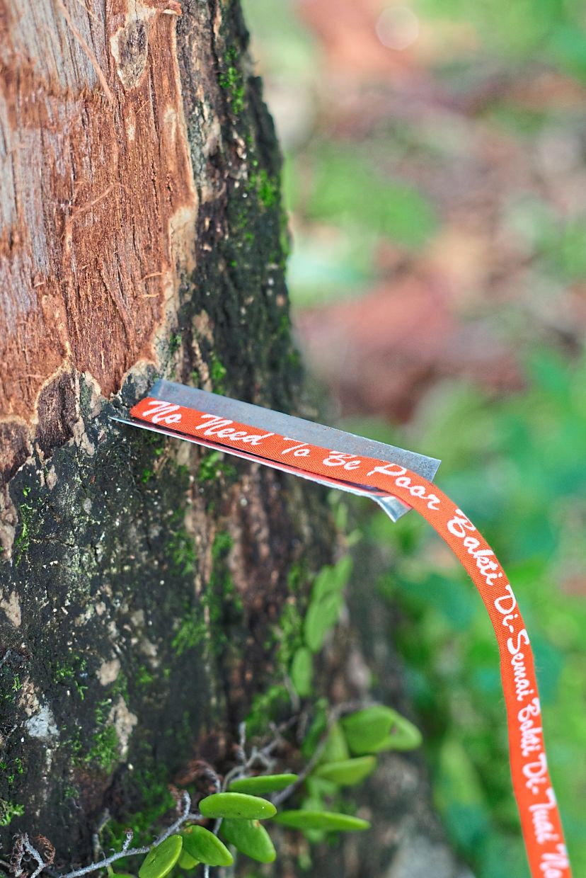 In Paris, Izat's new series 'Lidah Tuan Tanah' and 'Buku Lidah Tuan Tanah', using silkscreened cotton and steel plates, reflect on the speeches, texts and slogans employed by Felda (Malaysia’s Federal Land Development Authority) through the nation's plantation history. Photo: Izat Arif