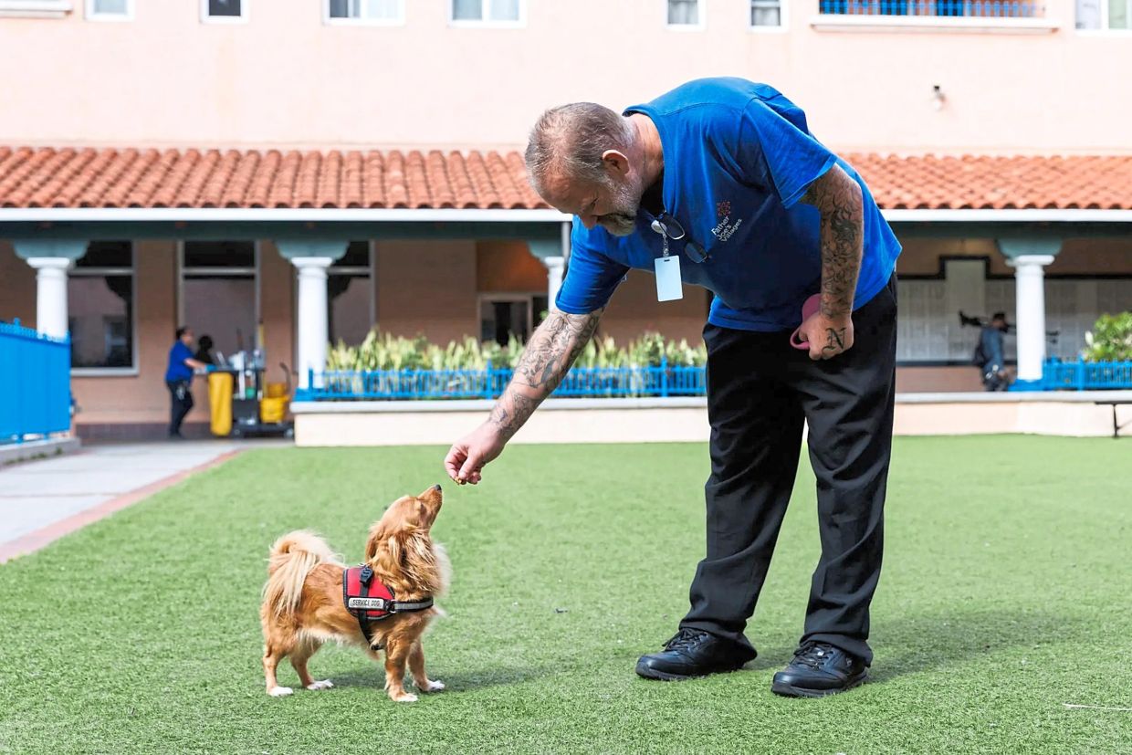 The event was co-hosted by My Dog Is My Home, an organisation that advises shelters on how to better welcome in dogs and cats.