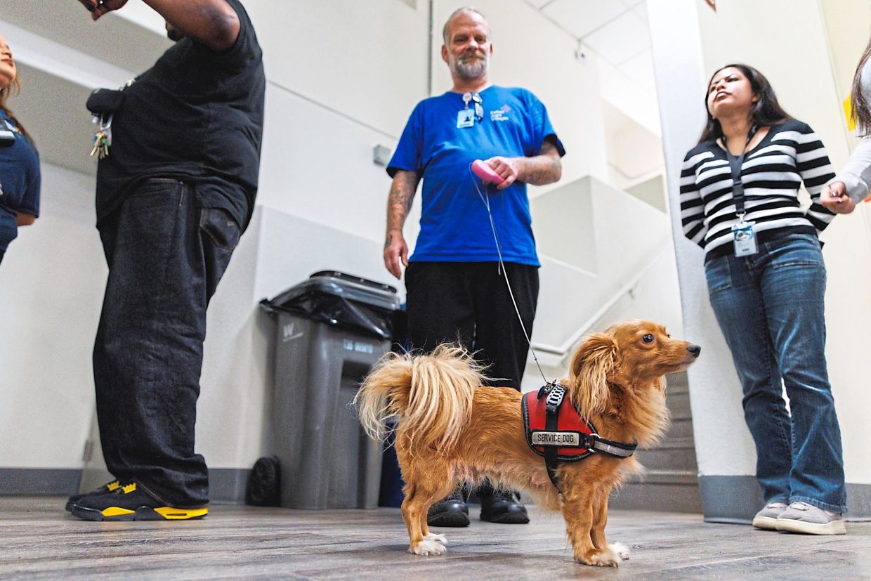 Babygirl with her owner Noss during a conference on co-sheltering.