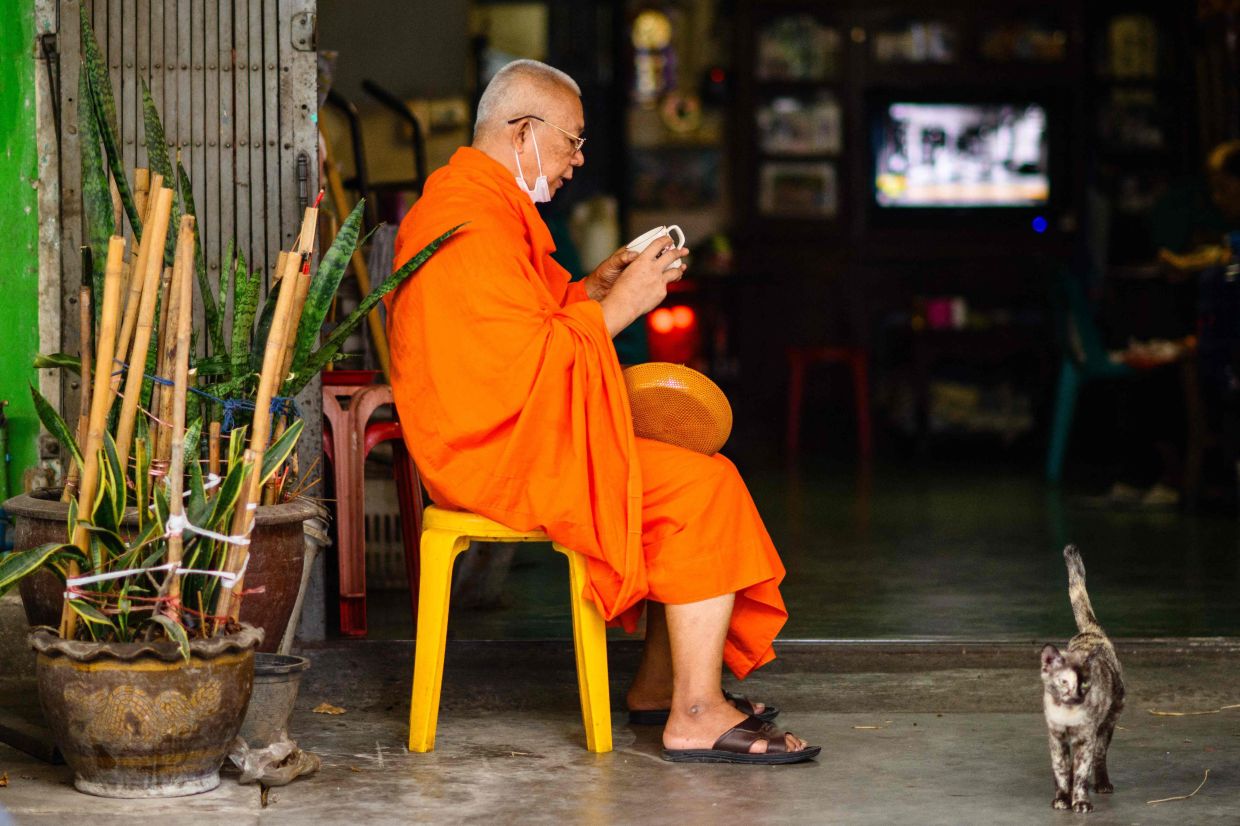 A cat walks past a monk sitting down after being offered a hot drink from a vendor while collecting alms at Mahanak Market in Bangkok. -- Photo by ANTHONY WALLACE / AFP