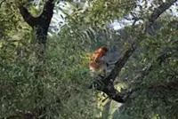 Brunei showcases diverse tourism experiences