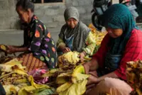 Indonesia passes law to protect millions of domestic workers