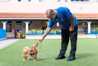 Pets in homeless shelters? Allowing them can preserve ‘a life-saving bond’