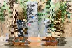 After running and dancing, Chinese robot firms target household chores