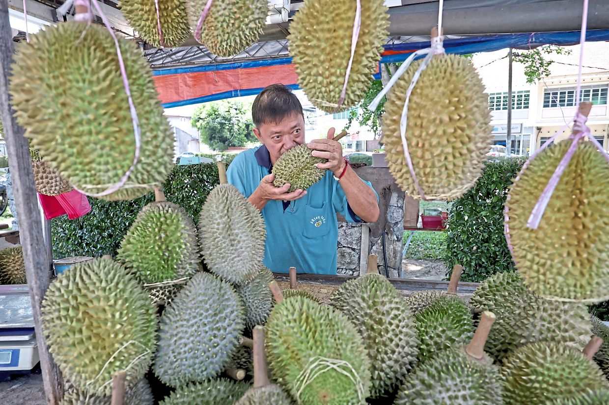 Durians arrive earlier and tastier?