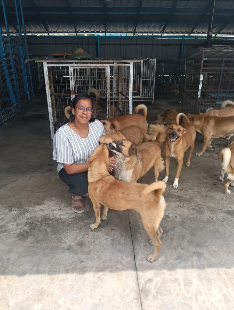 All covered: Thamilarasi says she always ensures that her dogs have access to proper shade and good ventilation during the erratic weather spells. — Photo courtesy of Thamilarasi