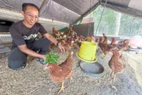 Big harvest from small garden