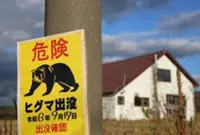 Body found after bear attack, possibly Japan’s first such death in 2026