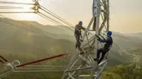 Laos-China 500 kV transmission line becomes operational