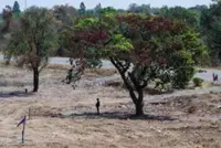 Thailand ceremony at disputed border temple draws Cambodia rebuke