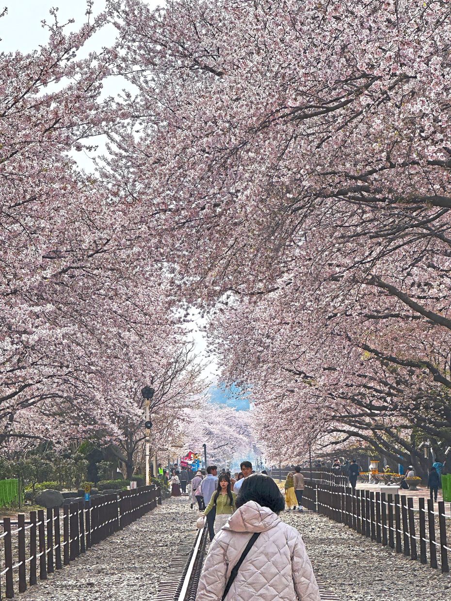 Visitors can safely walk on the tracks at Gyeonghwa Station.
