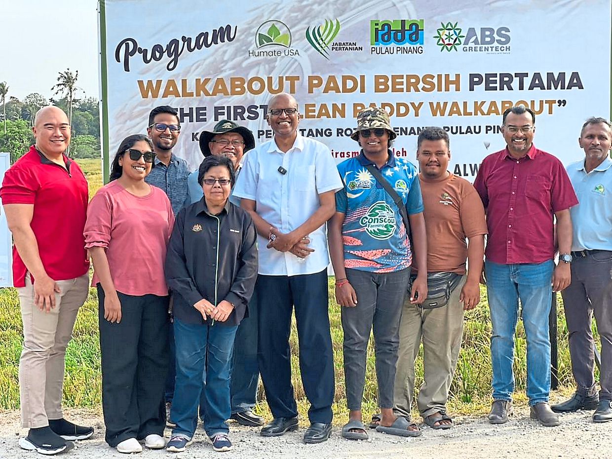 Holistic pest plan improves padi yield