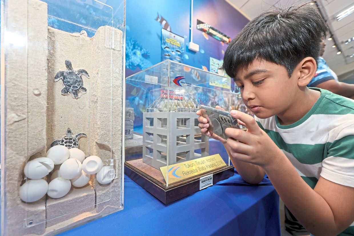 Nine-year-old Orhan Shah taking pictures of a display showing how sea turtles hatch from eggs.