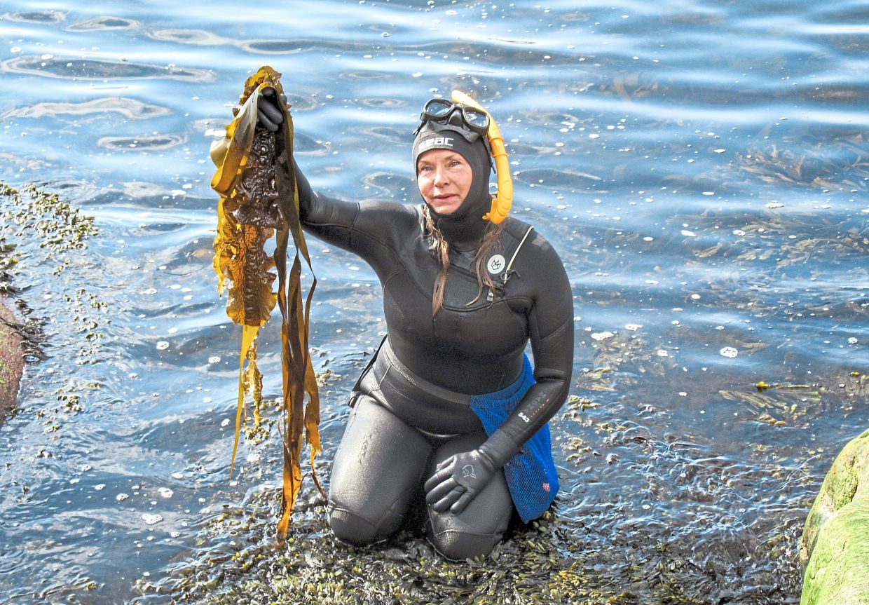 Sustainable blue foods – which are from oceans, lakes and rivers – “have an essential role to play in achieving food security, ending malnutrition and building healthy, nature-positive and resilient food system.”