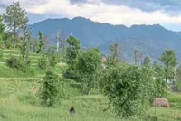 Kashmir still on edge after clashes