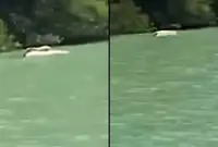 QuickCheck: Has a crocodile been sighted near Penang's Pulau Rimau?