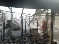 Ten cats killed after fire breaks out at Simpang Pulai animal shelter