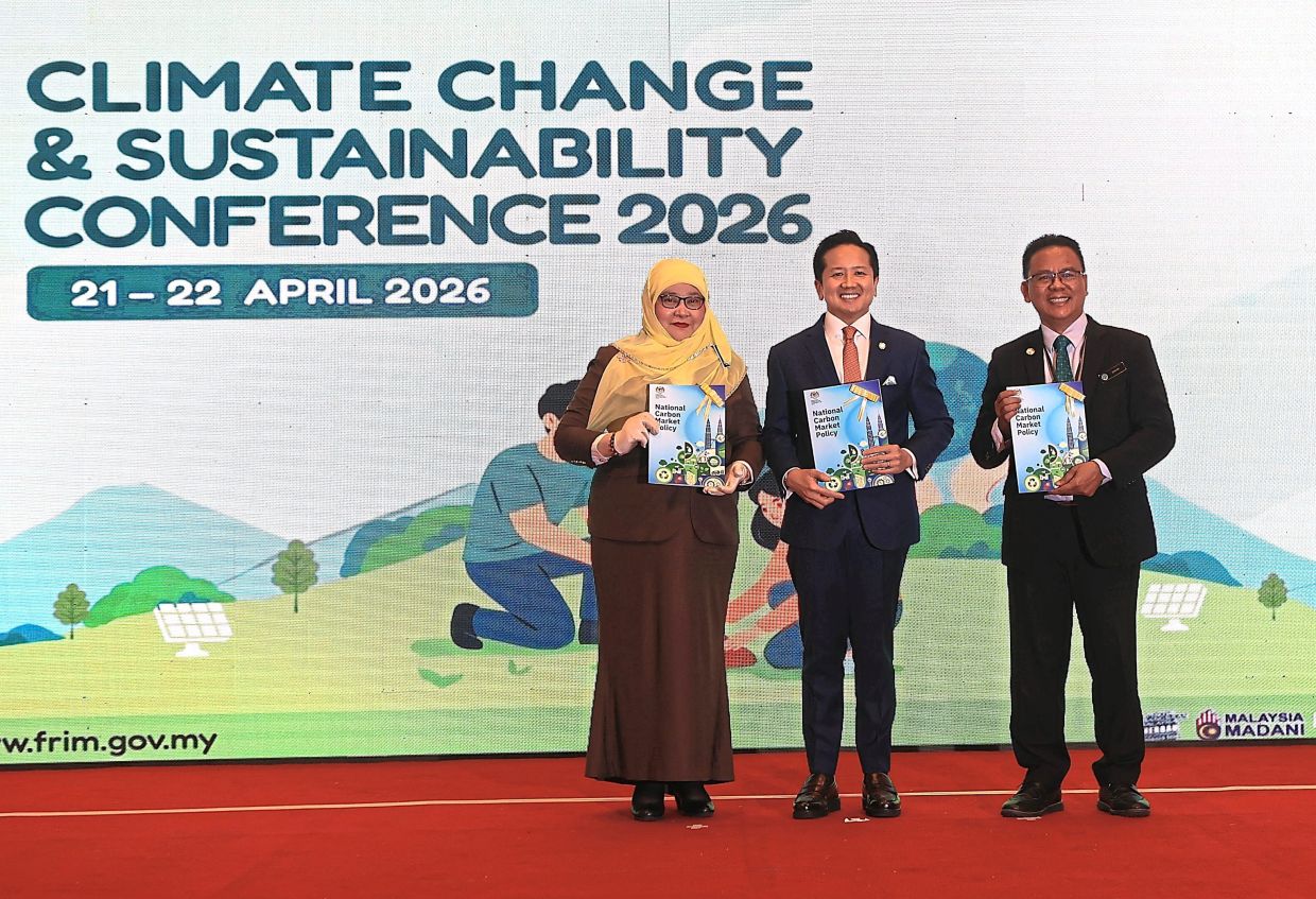 National Carbon Market Policy explained
