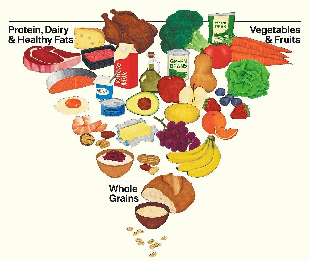 The revamped inverted Food Pyramid was introduced in the 2025-2030 Dietary Guidelines for Americans, launched on Jan 7. — US Department of Agriculture