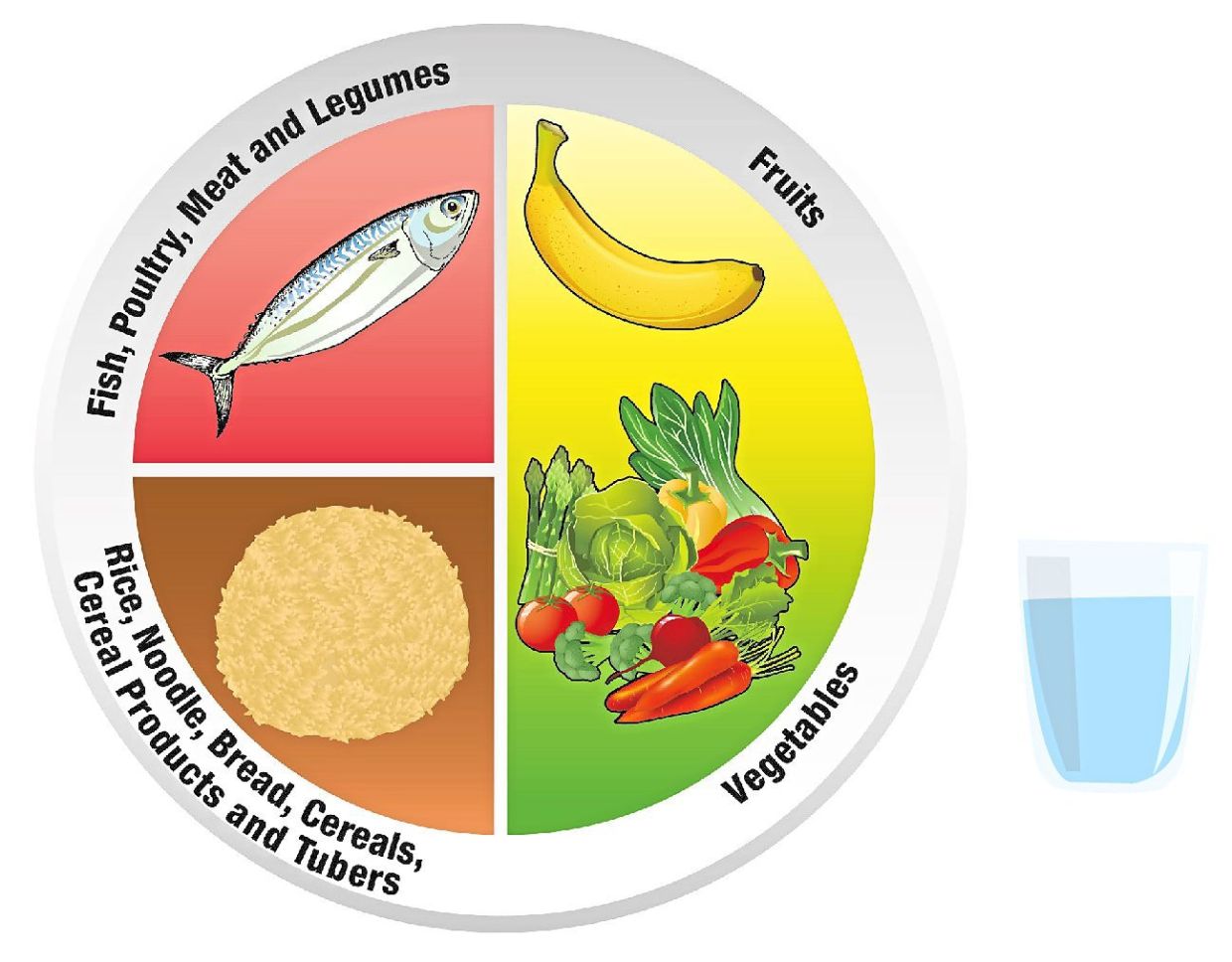The Quarter Quarter Half concept of the Malaysian Healthy Plate revolves around dividing the plate into one quarter for carbohydrates, one quarter for proteins and half for fruits and vegetables. — Positive Parenting