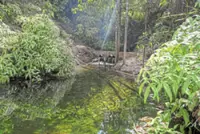 Conserving the Kawasi spring for the future of life