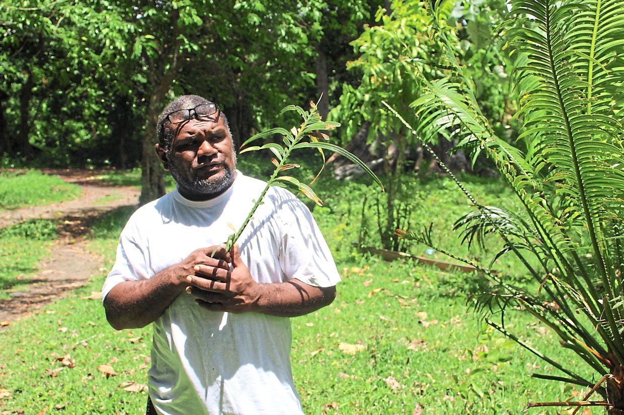 Locals in Matantas realised the leaf could help protect the forest, and began publicising its presence in Vatthe as a way to keep outsiders away.