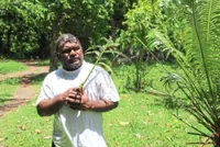 Sacred leaf that protects the forests