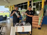 Marine cops foil bid to smuggle RM13.5mil worth of lobster fry out of Johor