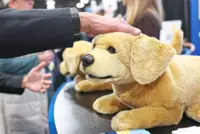 AI is coming for our ageing parents, ready or not