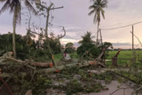 Four fallen trees reported within an hour in Hilir Perak
