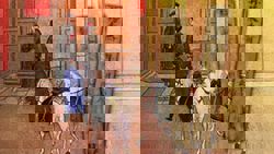 Chinese New Year bamboo greeting cards date back over 2,000 years to Han dynasty