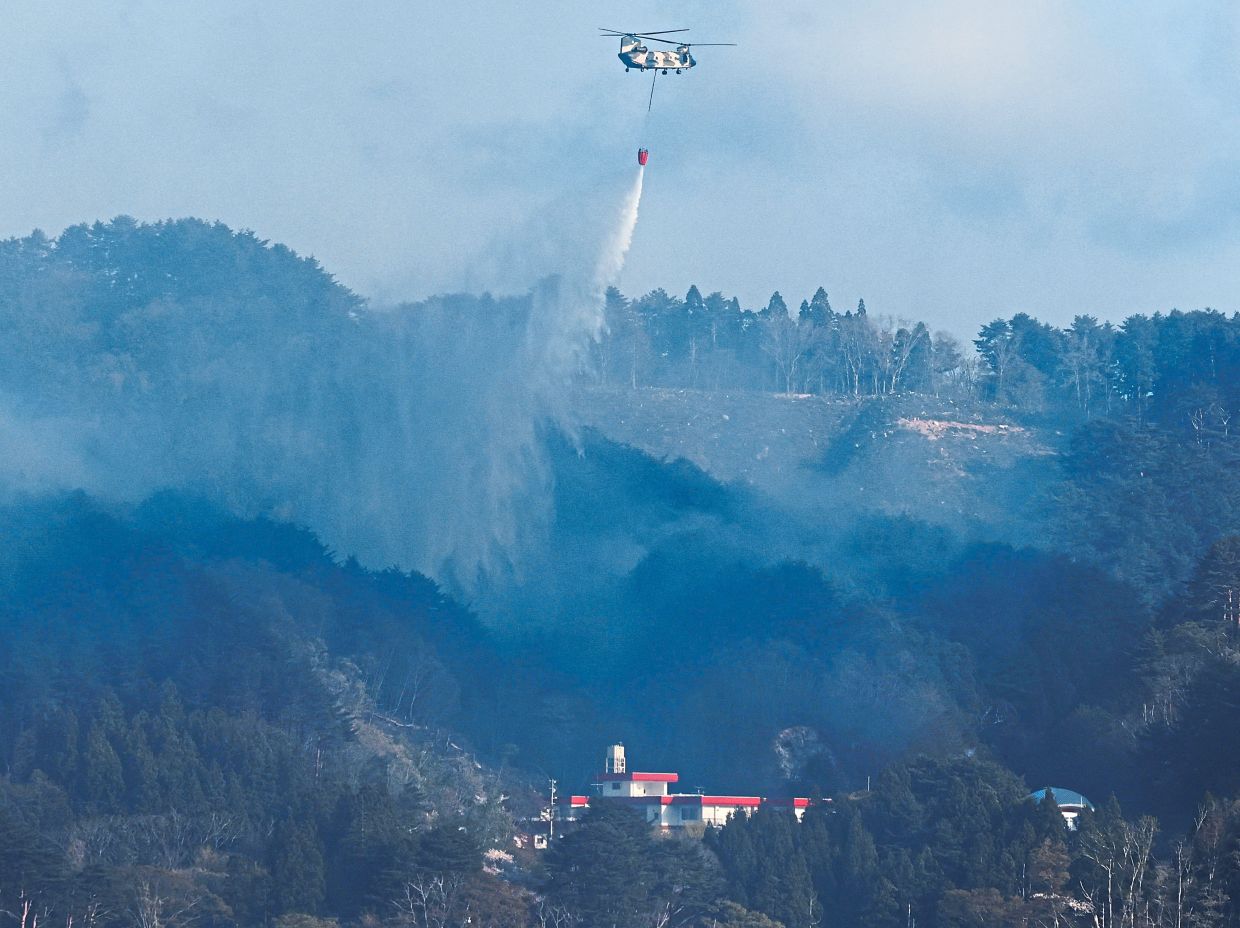 About a dozen helicopters and more than 1,300 firefighters as well as Japan Self-Defence Forces troops were mobilised yesterday to battle the fires.