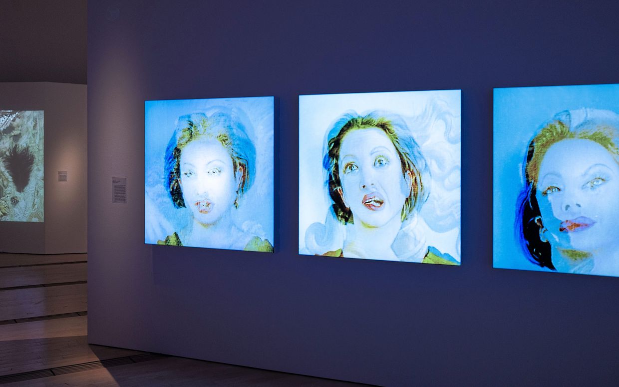 French multimedia artist Orlan, known for exploring art and gender, is represented in the exhibition by her light box from the 'Entre-Deux' series (1994). Photo: ArtScience Museum 