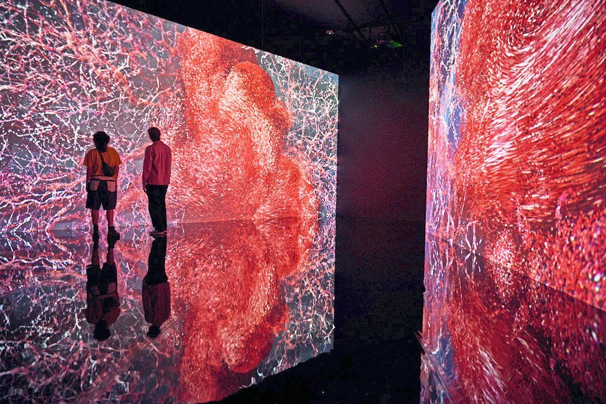 British experimental art collective Marshmallow Laser Feast’s 'Evolver' is a 20-minute VR experience that casts visitors as a cell moving through the body. Photo: ArtScience Museum