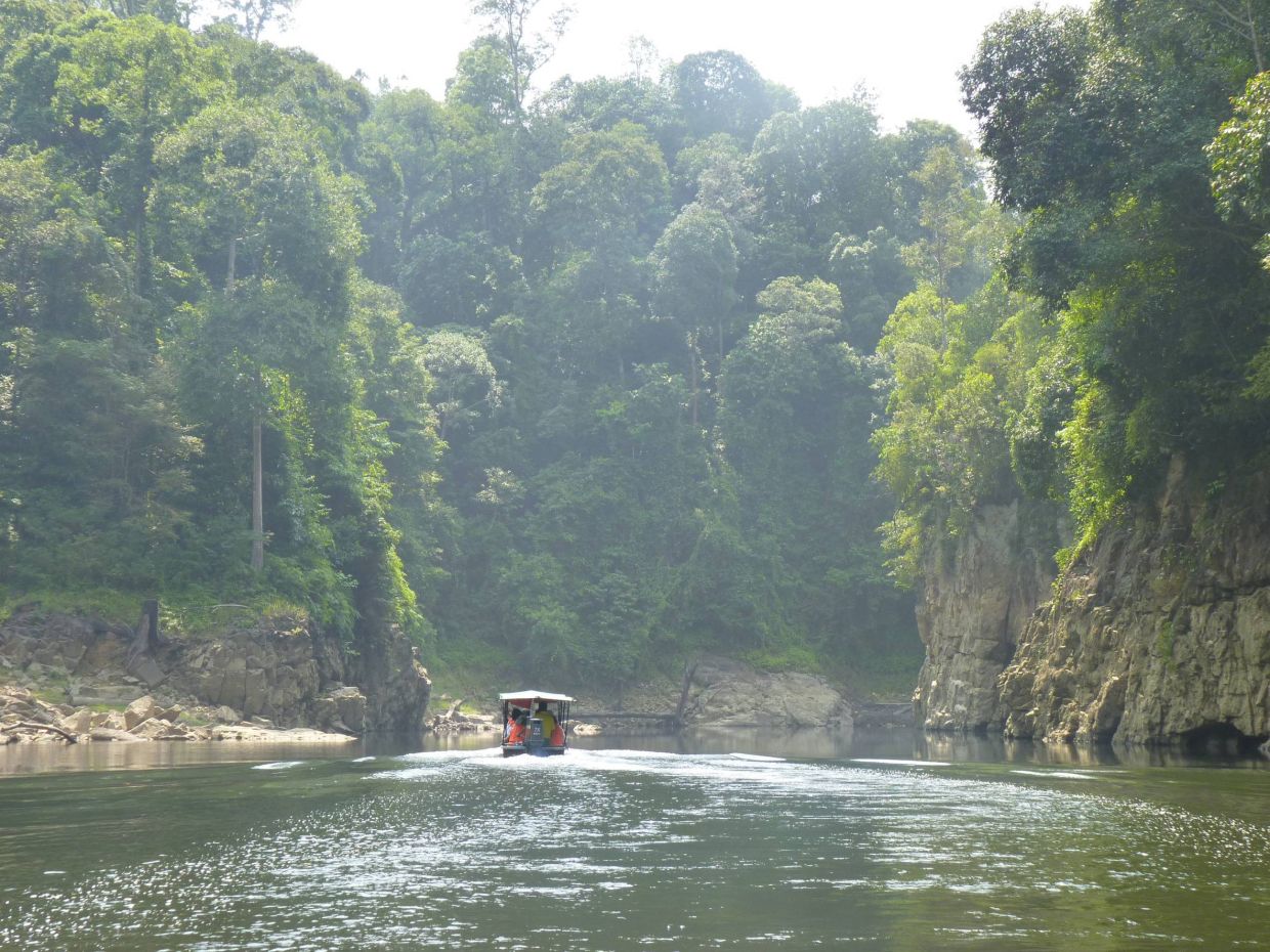 Razali added that water quality monitoring by relevant agencies at the sanctuary has been intensified, and relevant updates will be shared with the public.