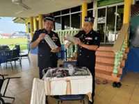 Bid to smuggle 125 boxes of lobster fry foiled