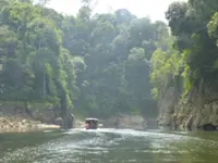 Terengganu vows action on activity causing water turbidity at Kelah Sanctuary