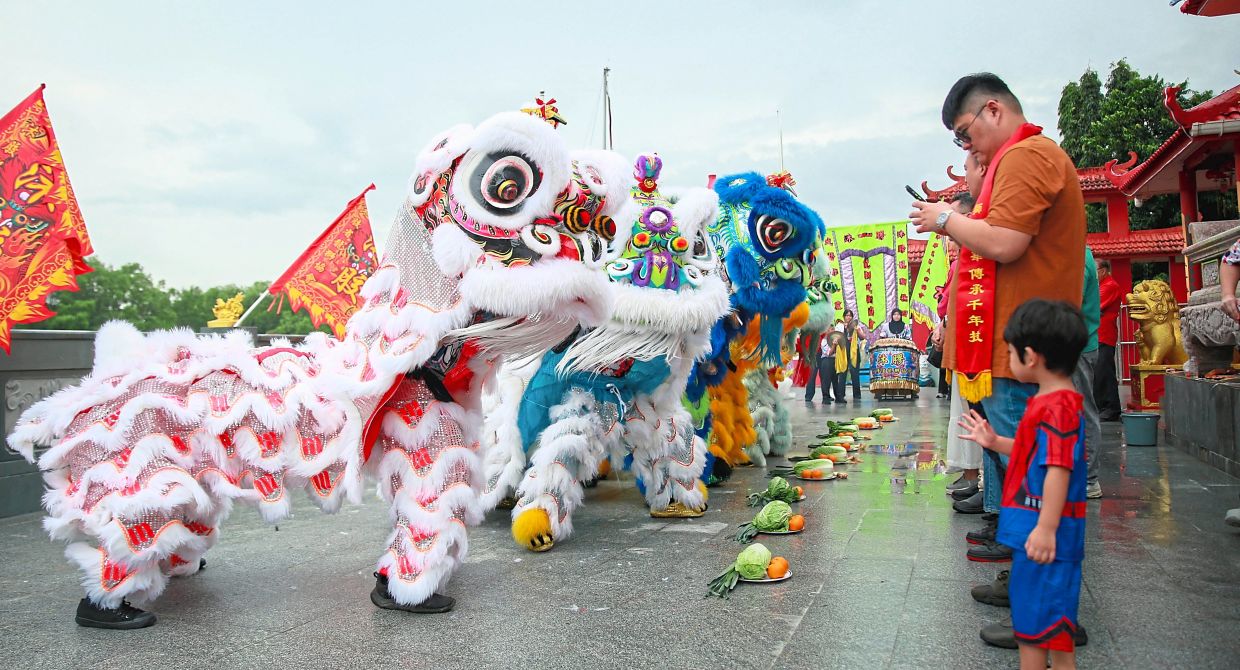 Today, the troupe boasts 124 members, comprising 42 Chinese, 37 Melanau, 39 Malay and six Iban, who have embraced an art form traditionally associated with the Chinese community.