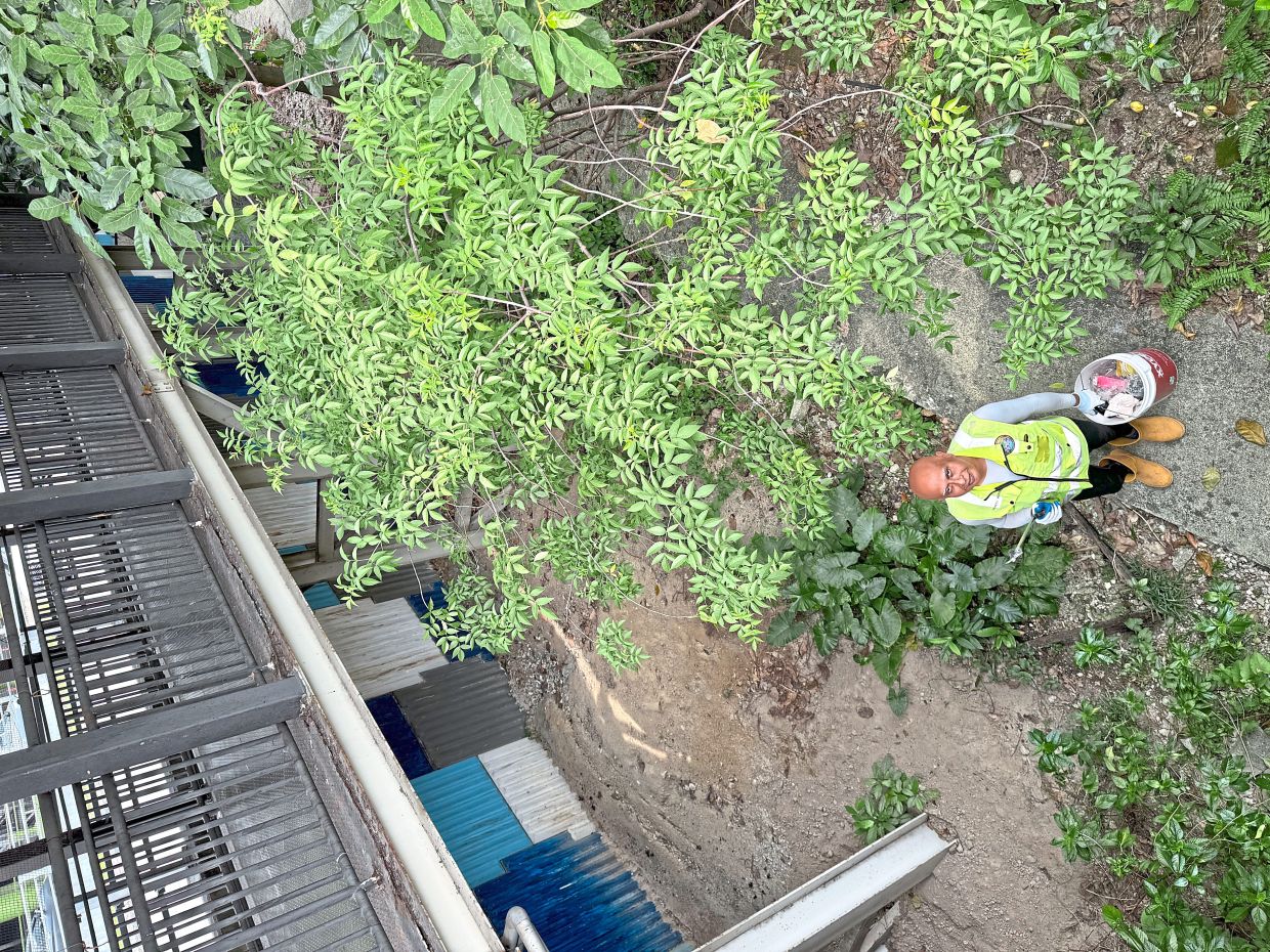 Kennedy at the community garden located near the Petaling Jaya-Bangsar Bypass.