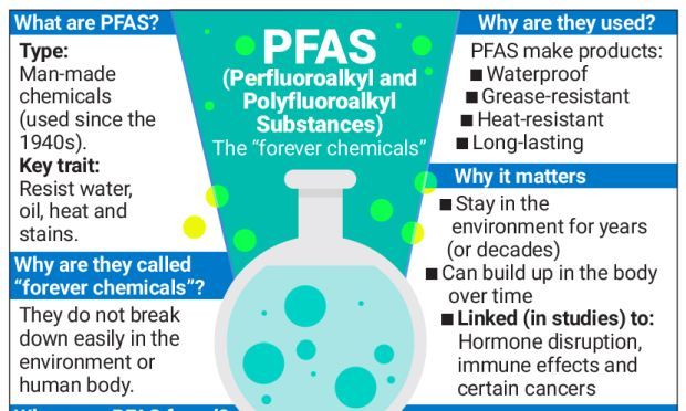 The chemicals do not break down easily in the environment and accumulate in the human body, posing health risks.