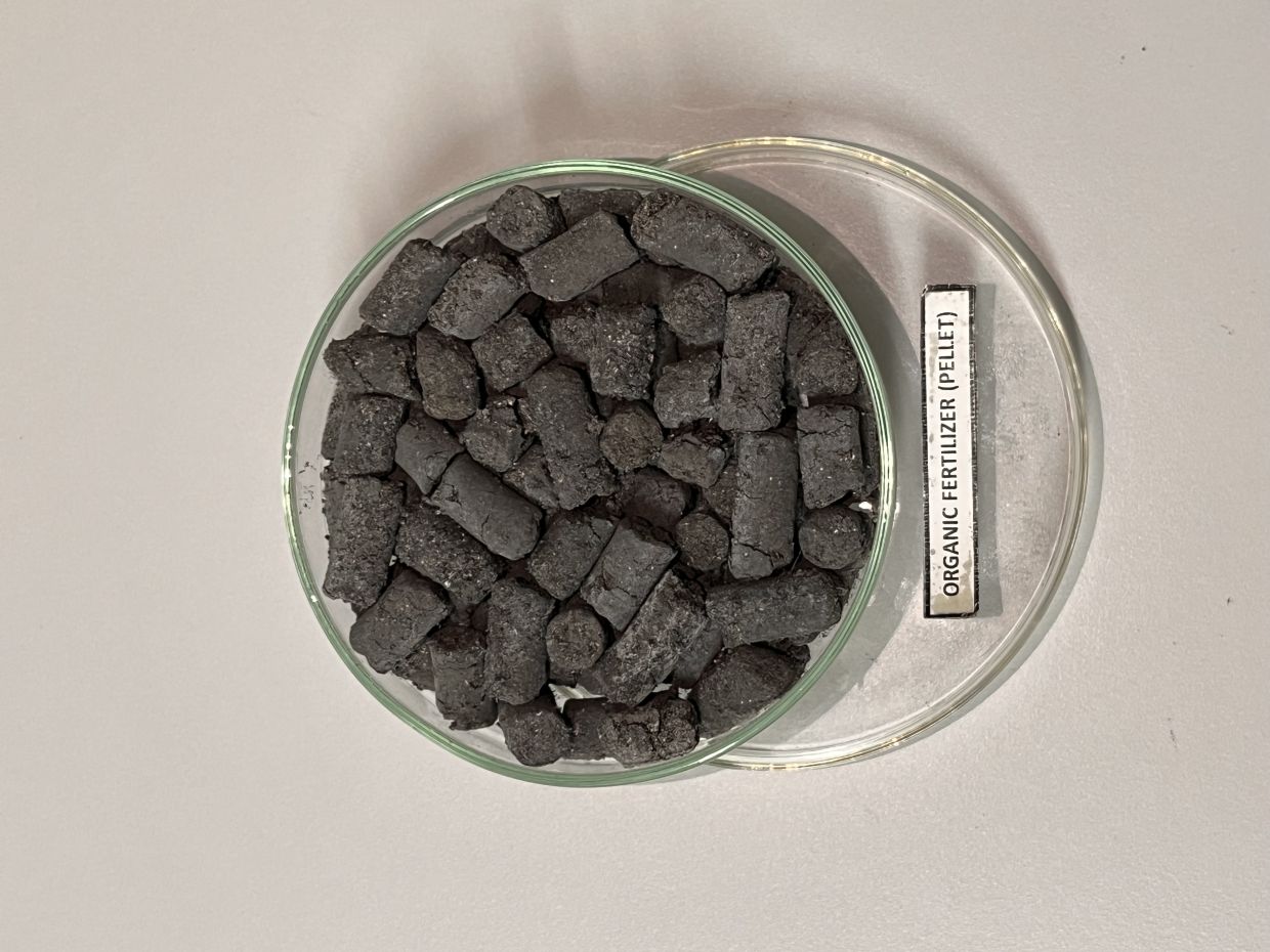 IWK’s organic fertiliser in pellet form supplies essential nutrients for crop growth.