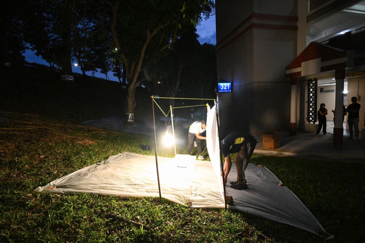 Contractors of Tampines Town Council setting up a light trap to catch cicadas next to Block 321 Tampines Street 33 on April 23. - Photo: ST