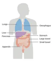 Neuroendocrine tumours: A rare cancer that may involve hormones