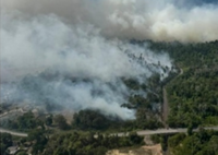 DOE begins probe of Dungun peatland fire