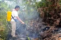 T'ganu farmer loses RM300,000 as fire razes chilli plot