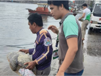Two endangered sea turtles safely released in Philppines' Tacloban region