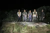 5.3m saltwater croc shot dead by Sabah wildlife rangers after attack on villager