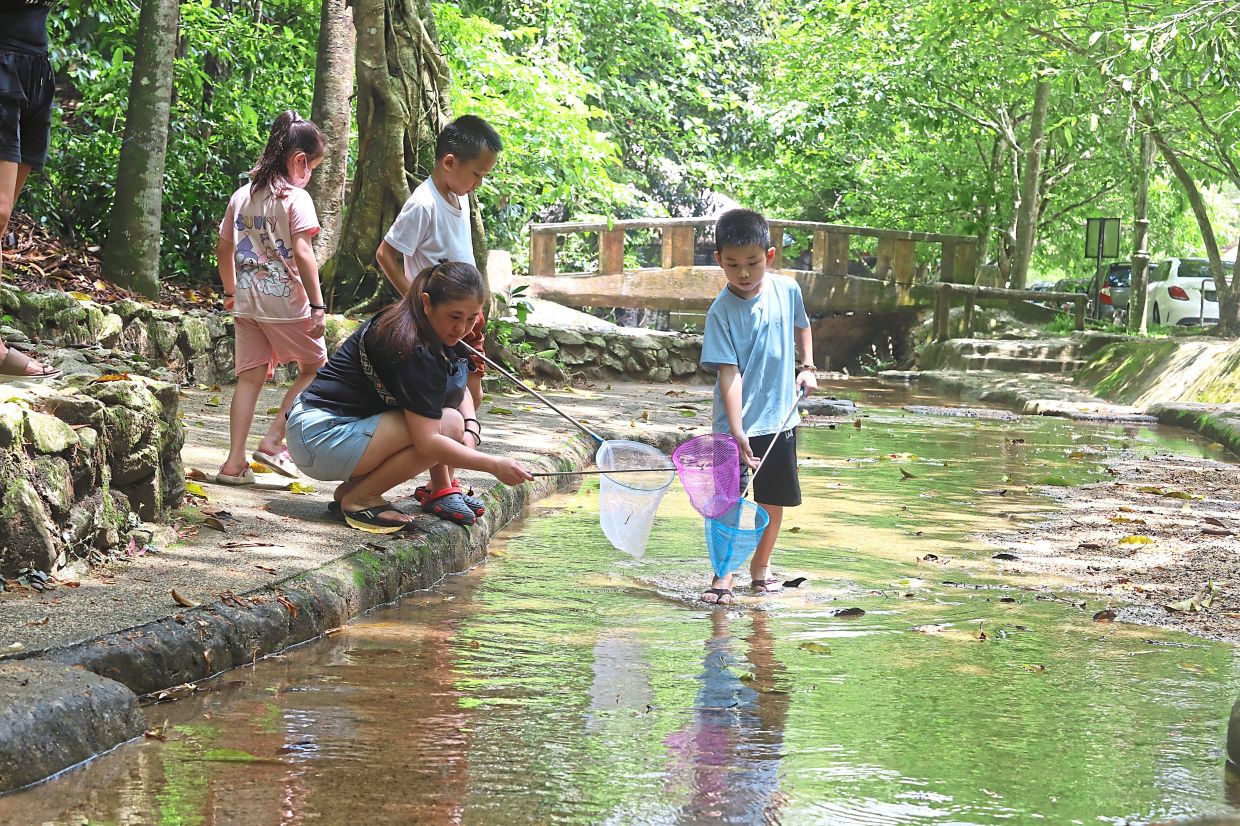 A family enjoying nature activities at Bukit Mertajam Recreational Forest. — File photos