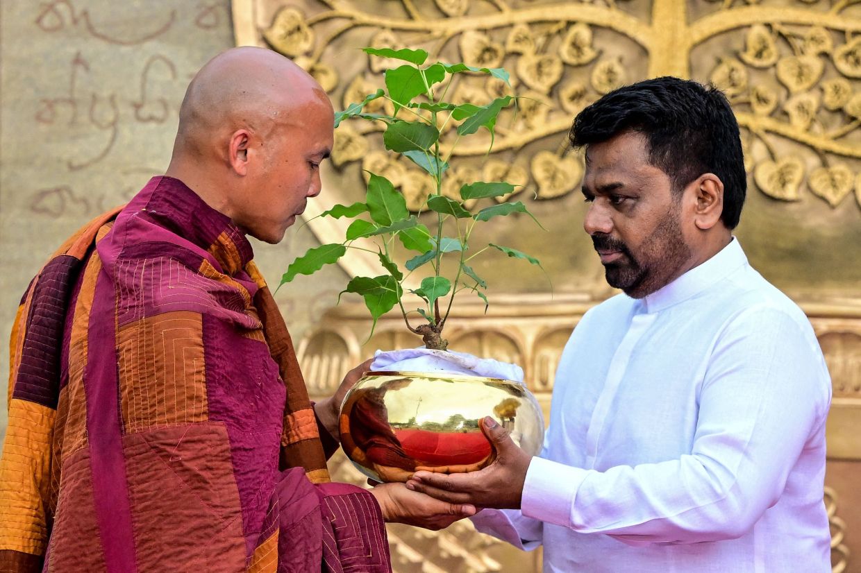 Vietnamese Buddhist monk Pannakara receiving a sapling from Sri Lanka President Anura Kumara Dissana at Independence Square in Colombo on April 28 during the final day of their 210-kilometre 'Walk for Peace'. - AFP