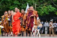 Monk ends barefoot Sri Lanka trek with a dog and plea for peace